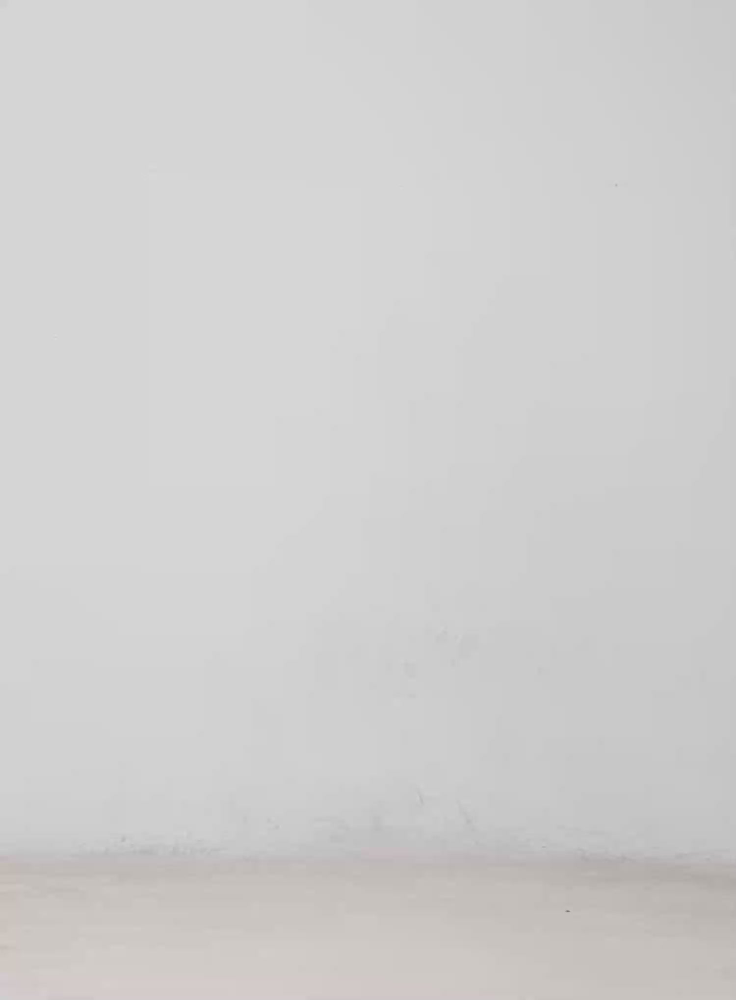 Basic Round Neck Crop Long Sleeve Tee CM512