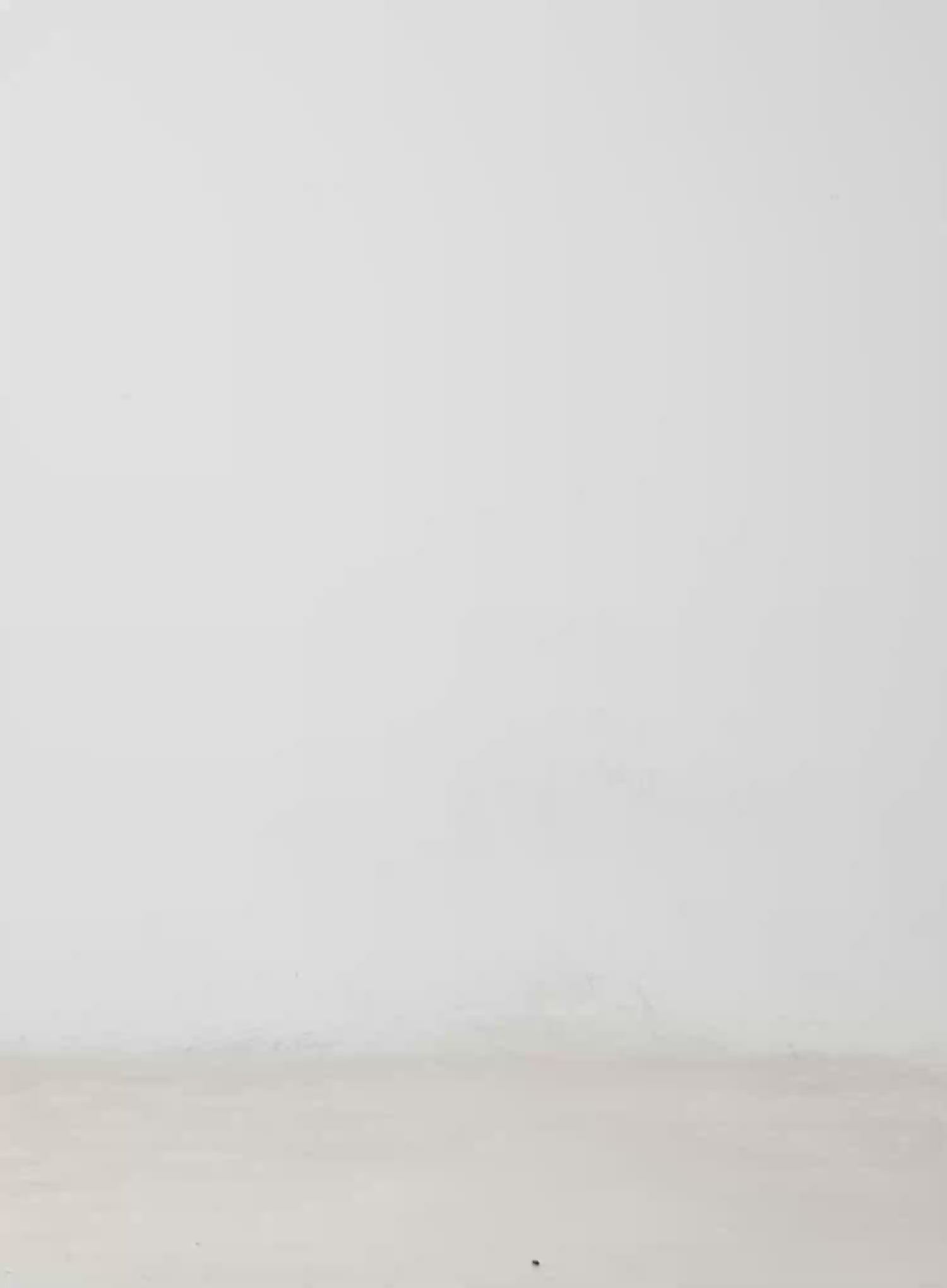 Off-Shoulder Hooded Sweatshirt IM513