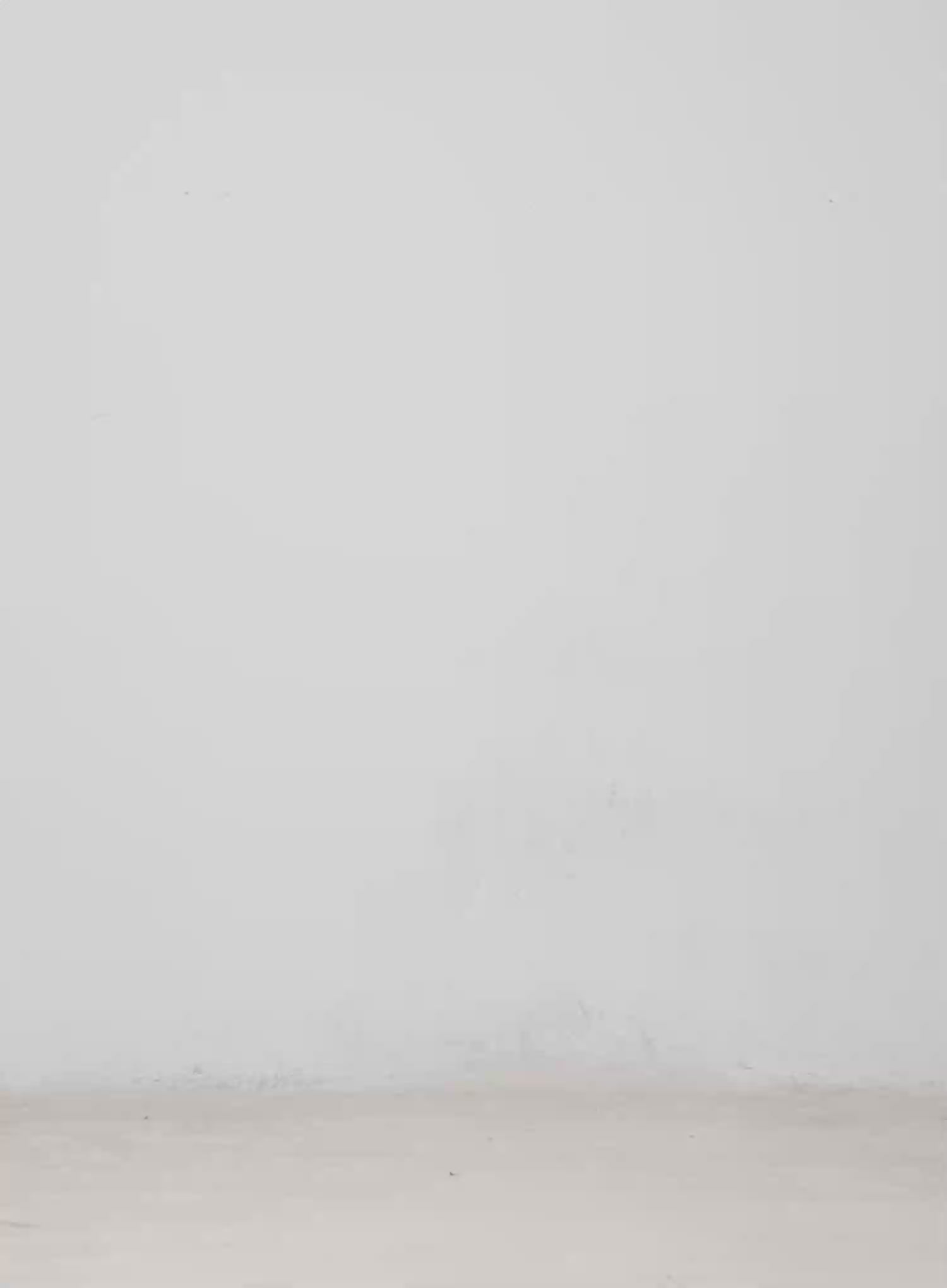 Wing Graphic Baggy Pants CM526