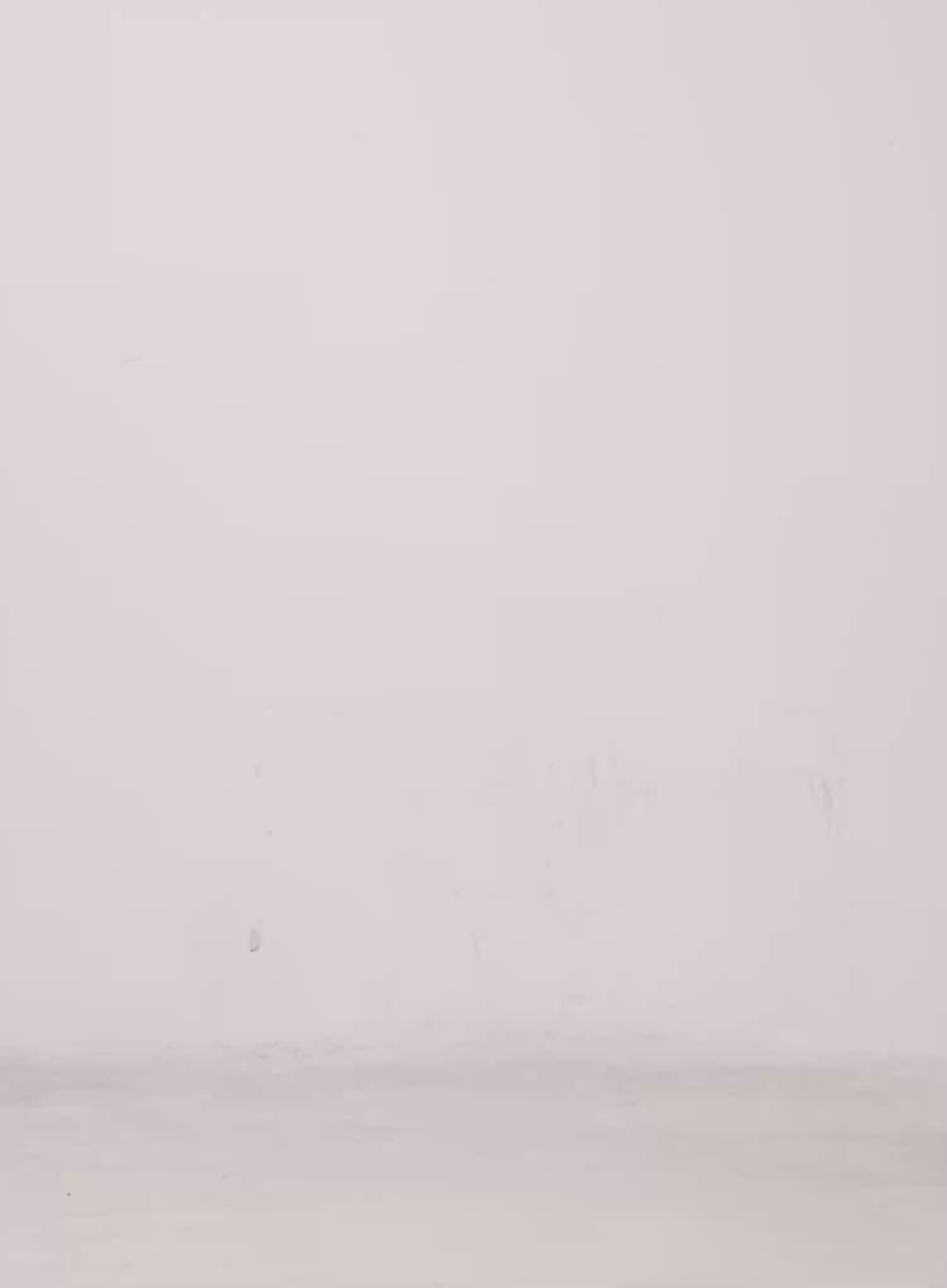 Elora Washed Baggy Jeans IS525