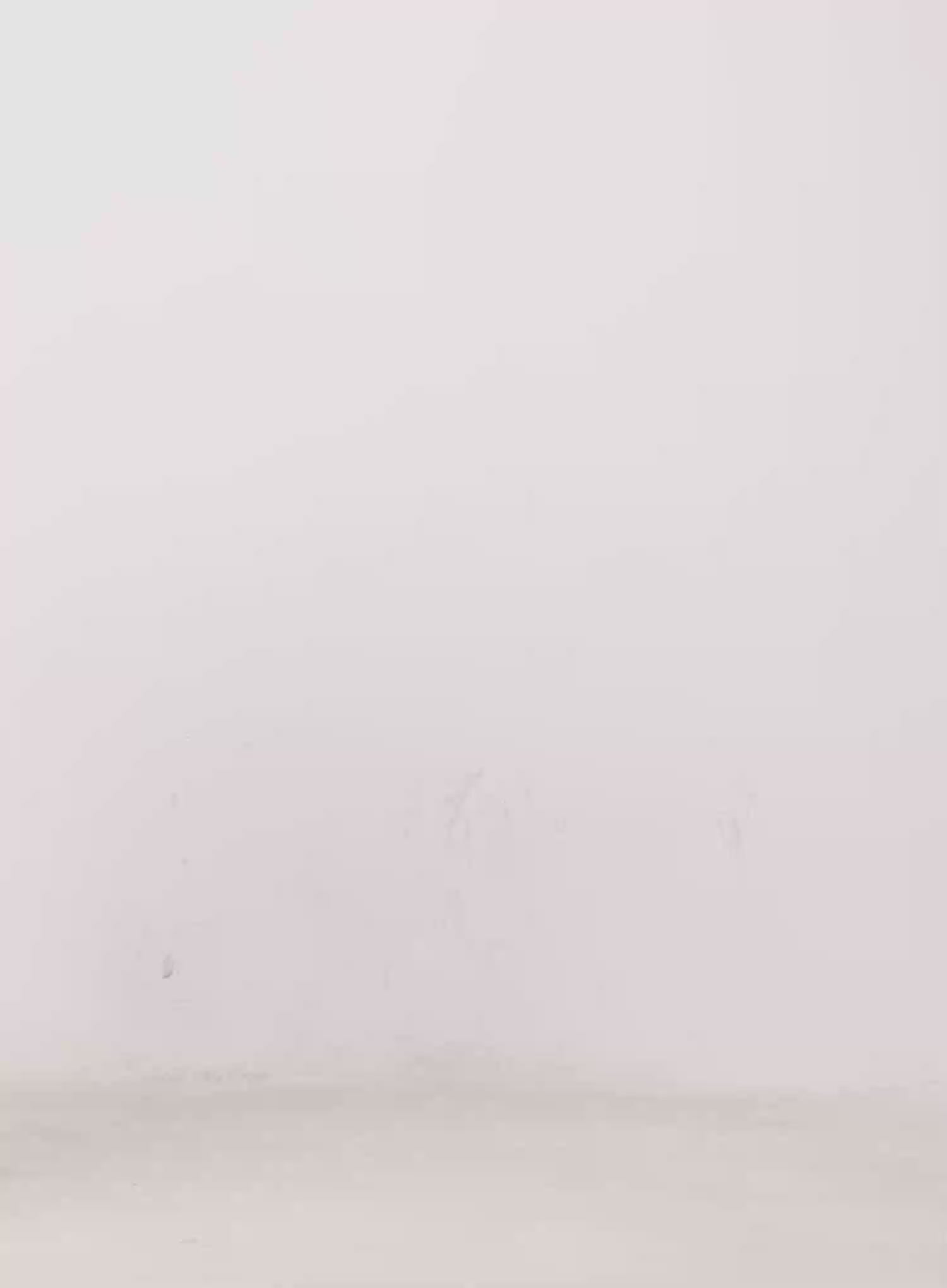 Nordic Knit Sweater CO522