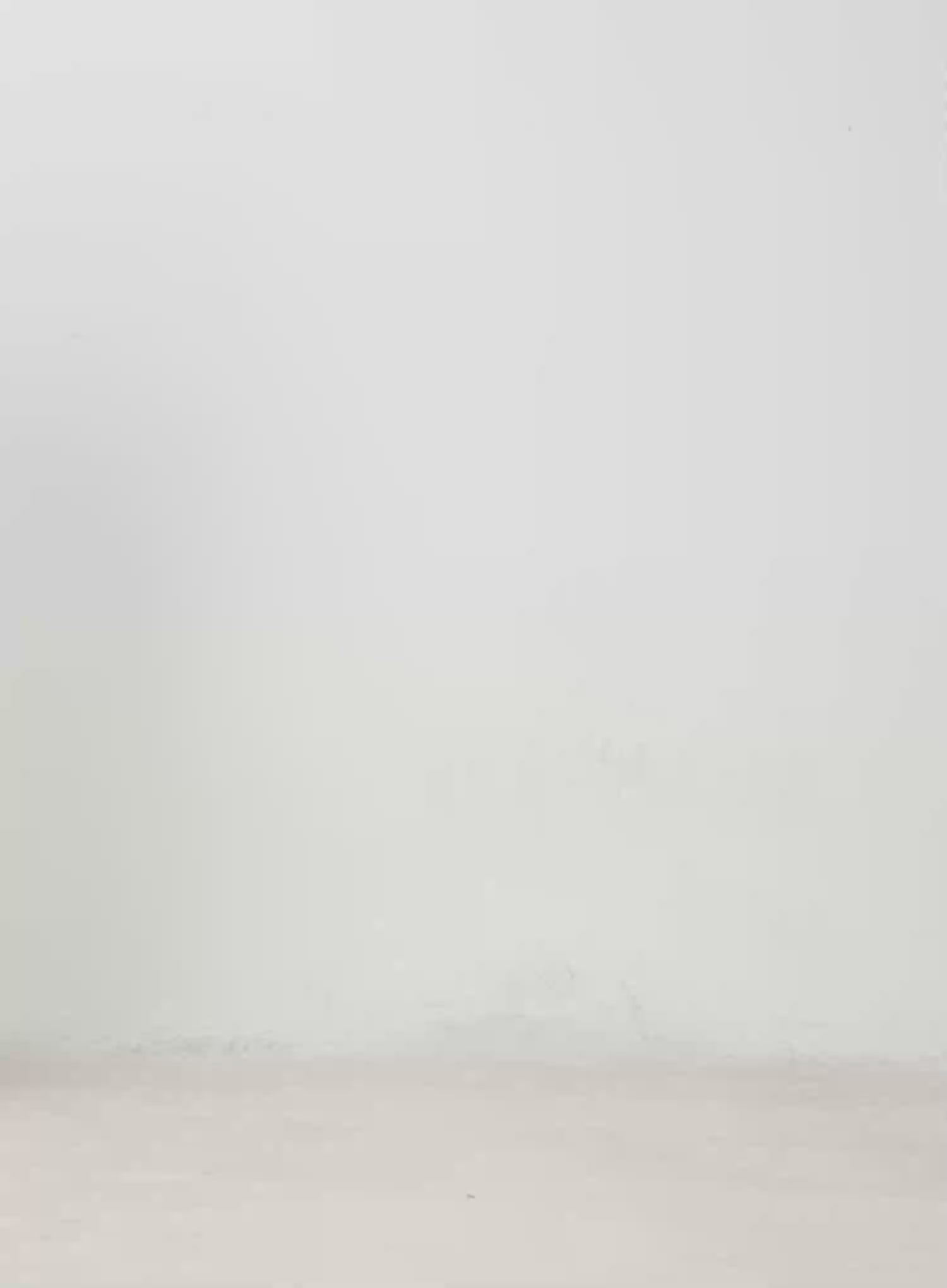 Ribbon Detail Short Sleeve Hoodie IM519