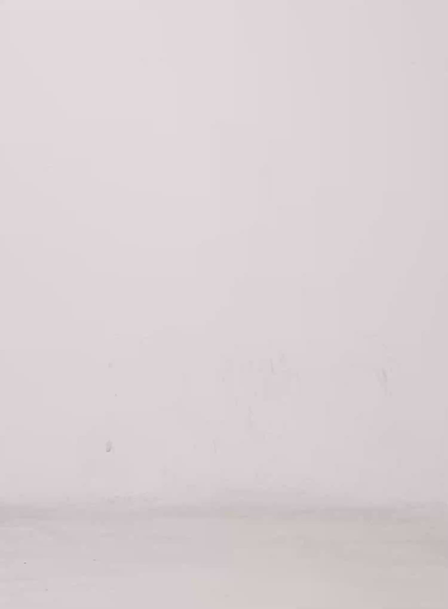 Off-Shoulder Graphic Sweatshirt IS525