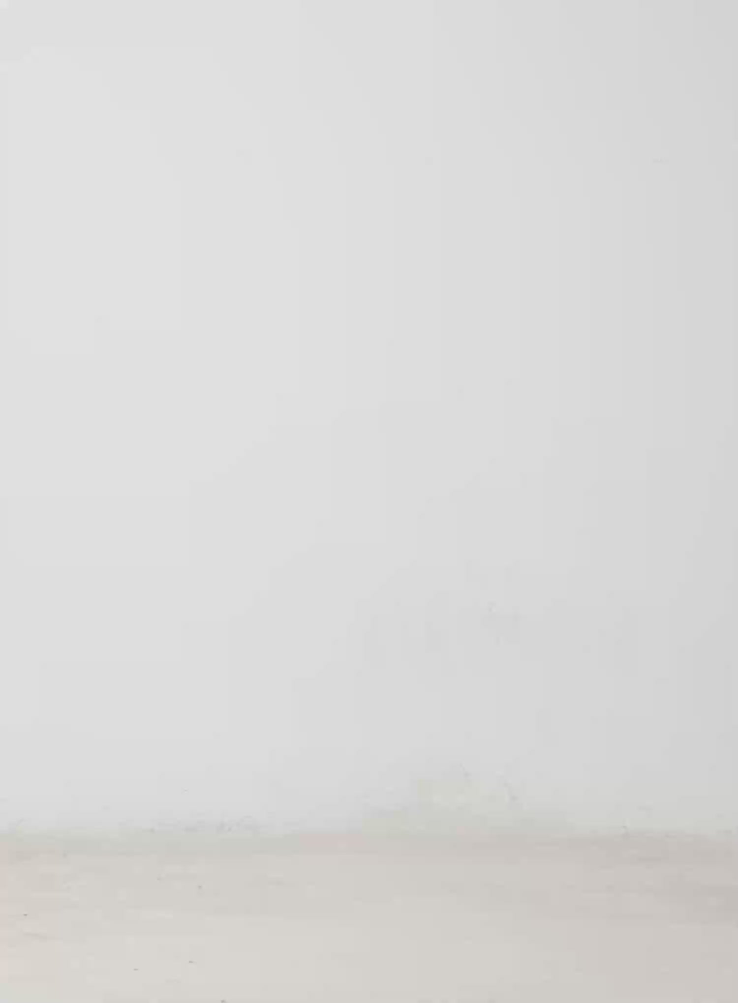 Striped Leg Warmers IM509