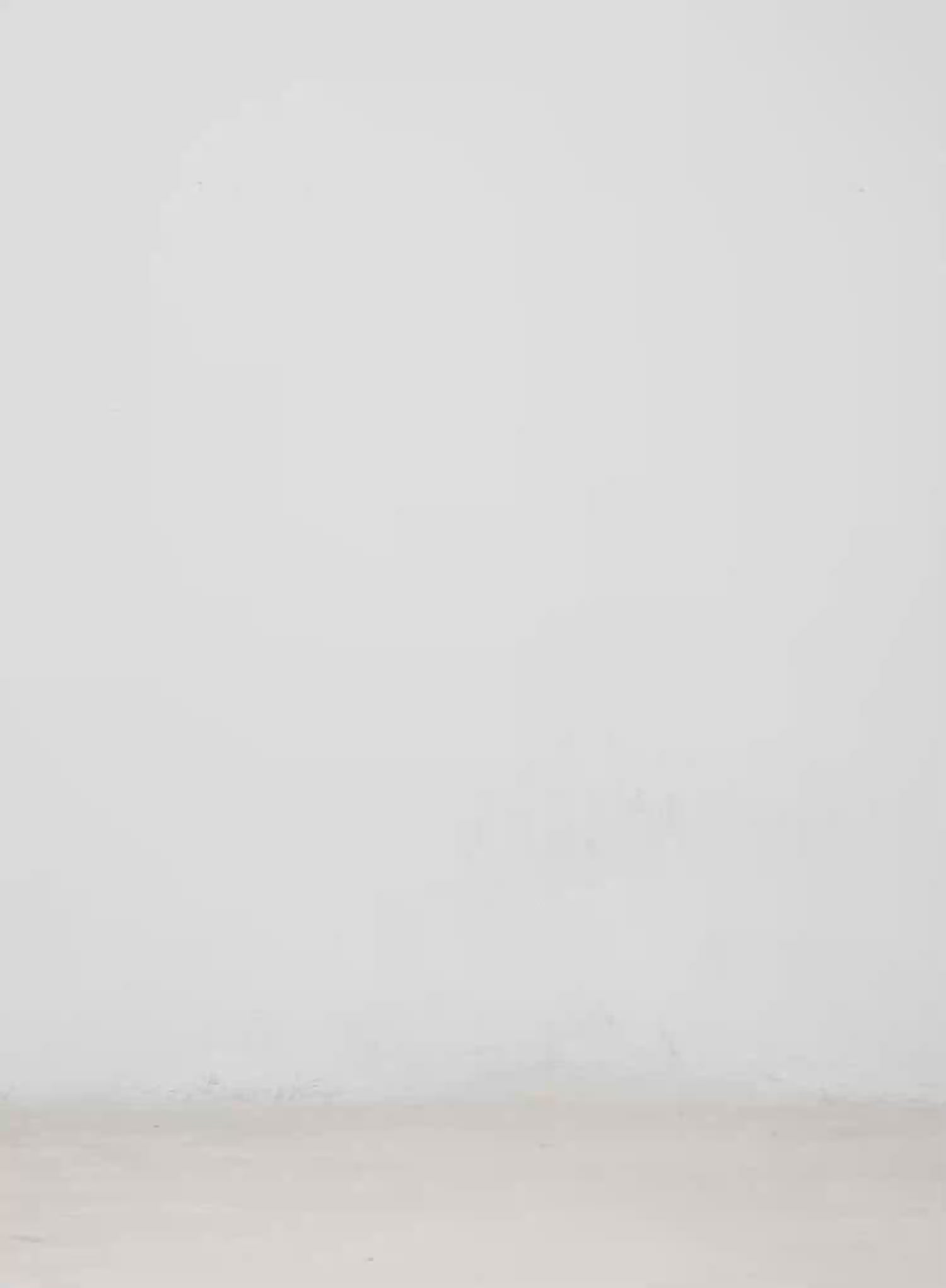 Lace Trim Halter Crop Top CM526