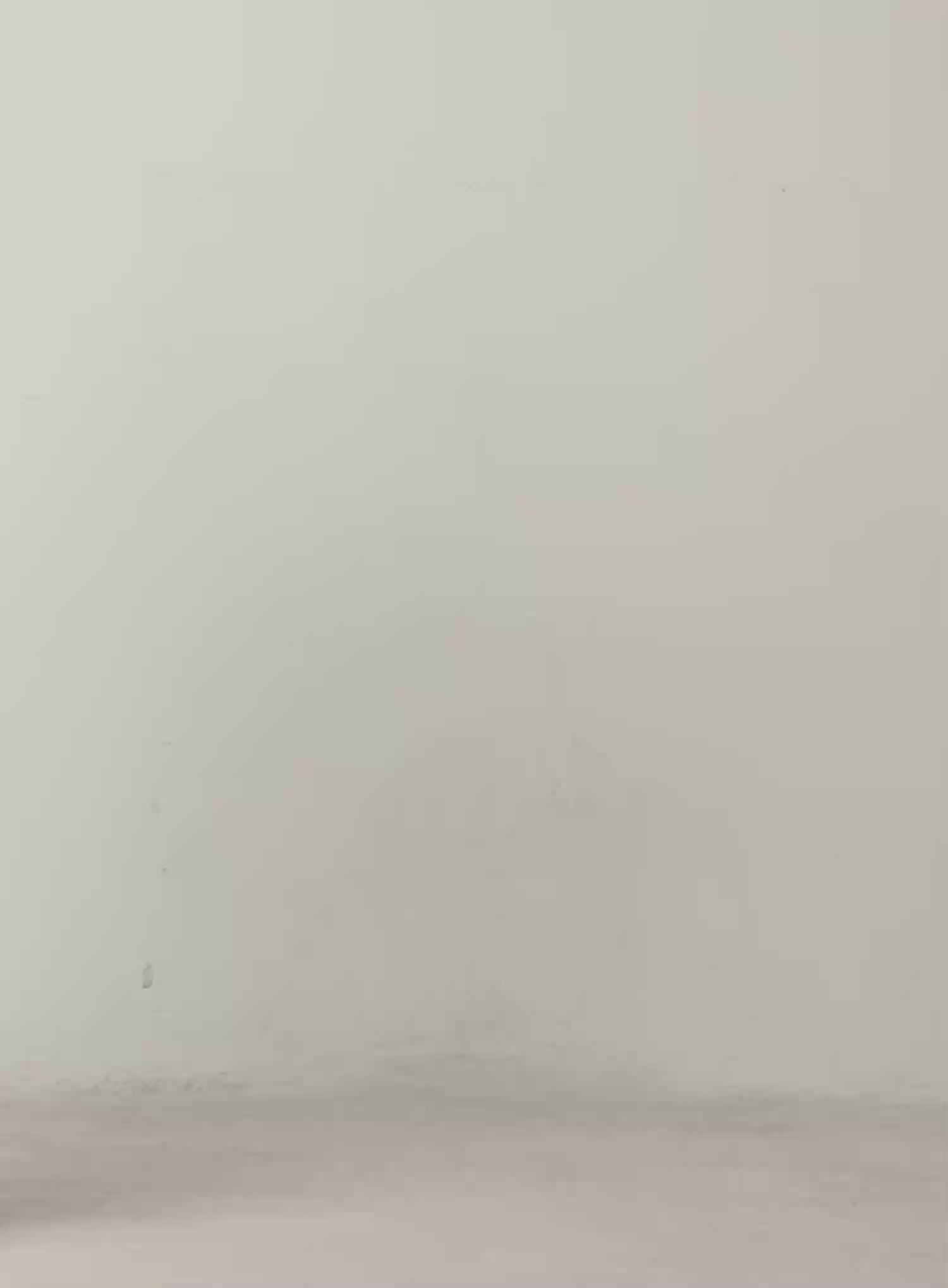 Cable Knit Sweater IJ529