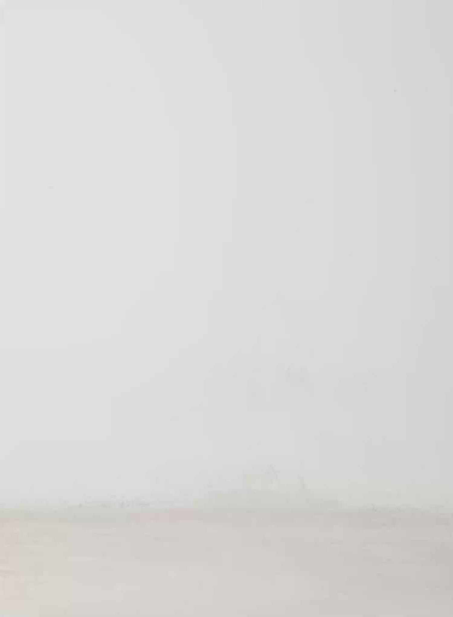 Star-Themed Layered Sleeve Top IM509