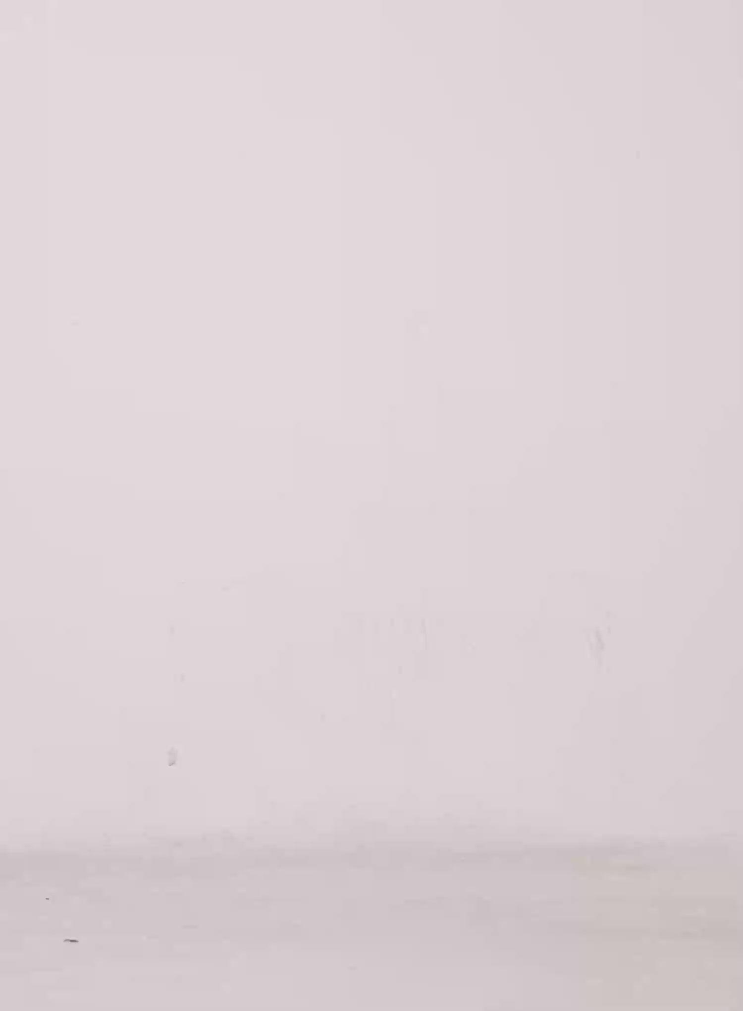 Loose Fit Distressed Knit Sweater CS511