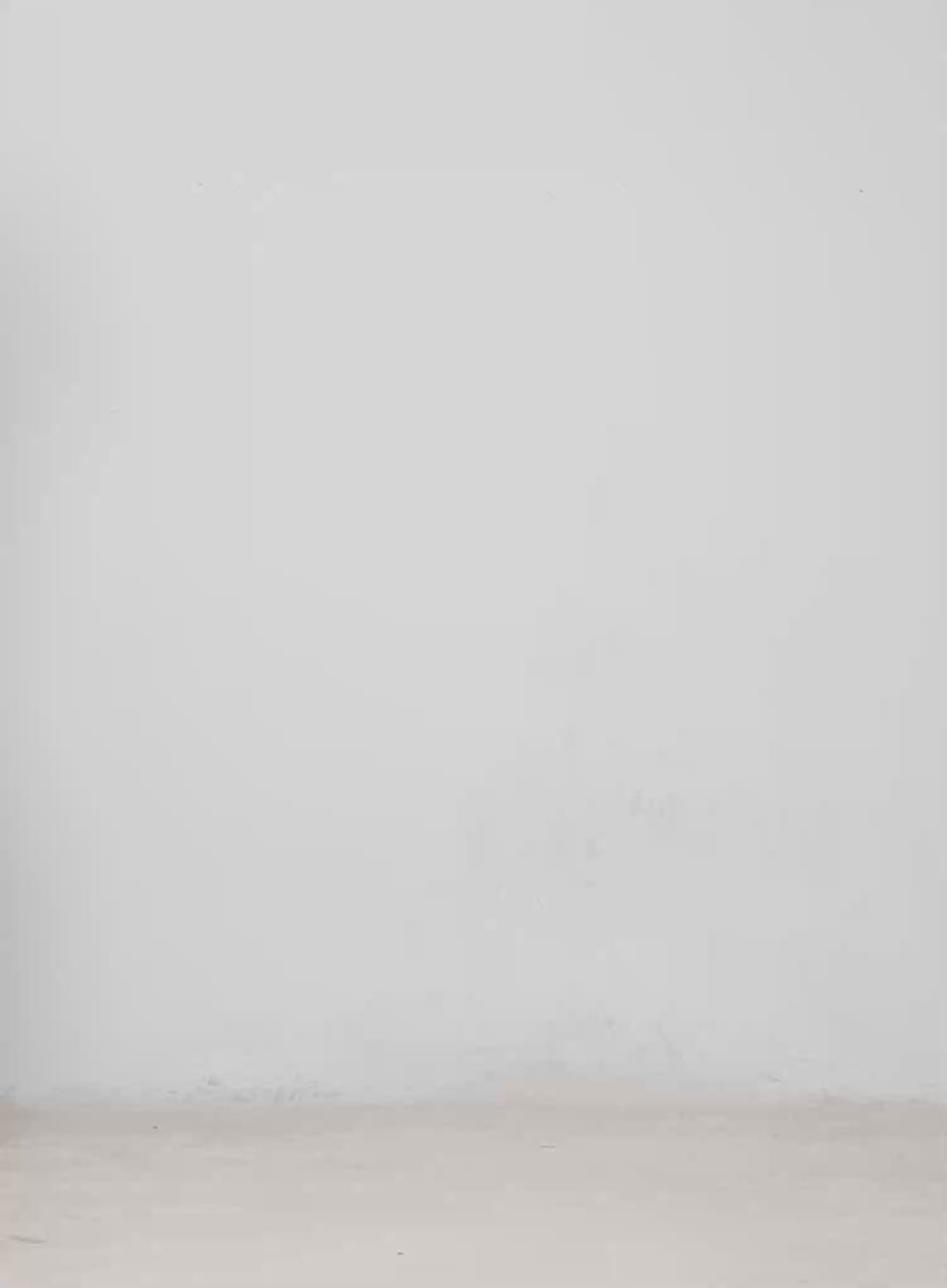 Layered Cami Top CM526