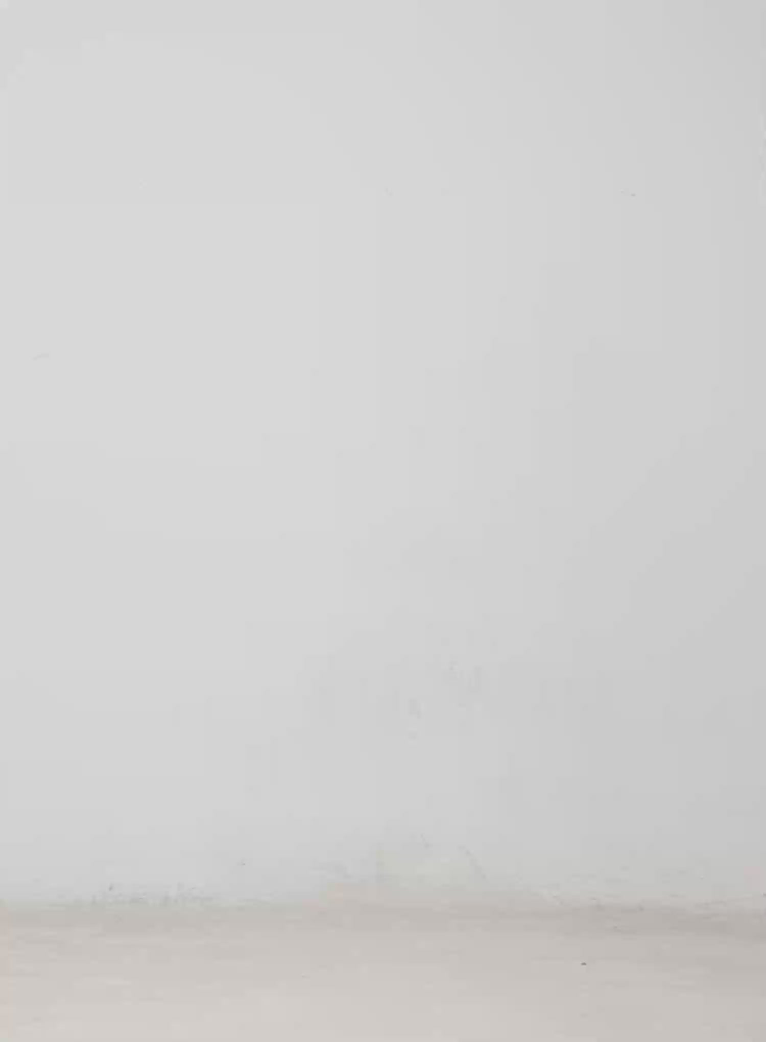 Basic Foldover High-Waisted Shorts CM513