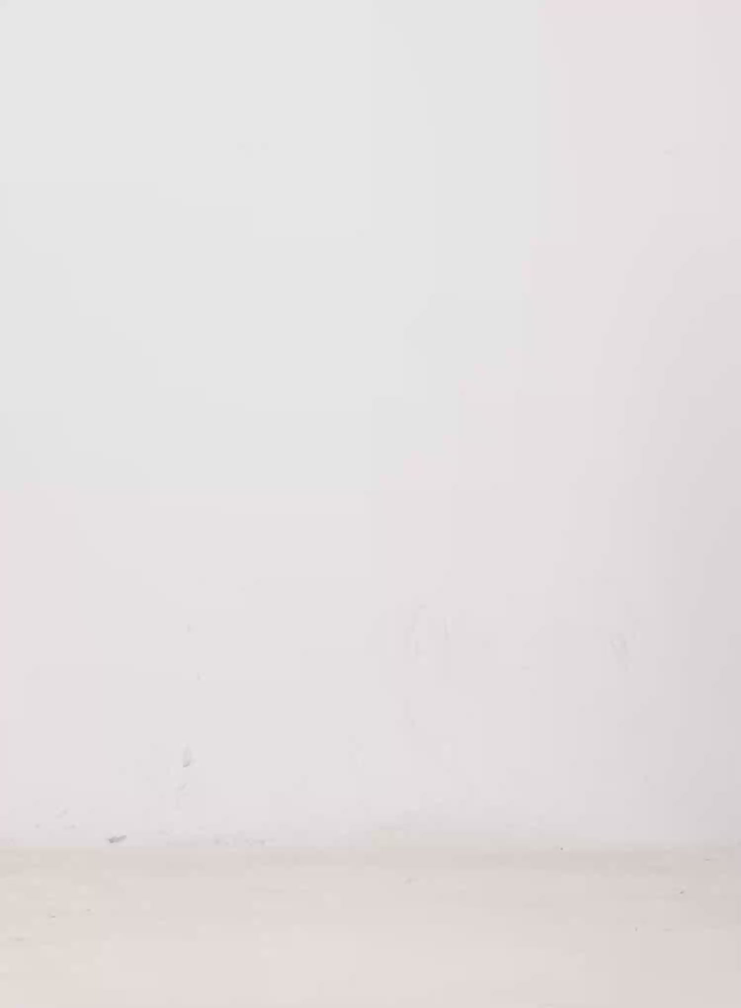 Corduroy Studded Shorts IN525