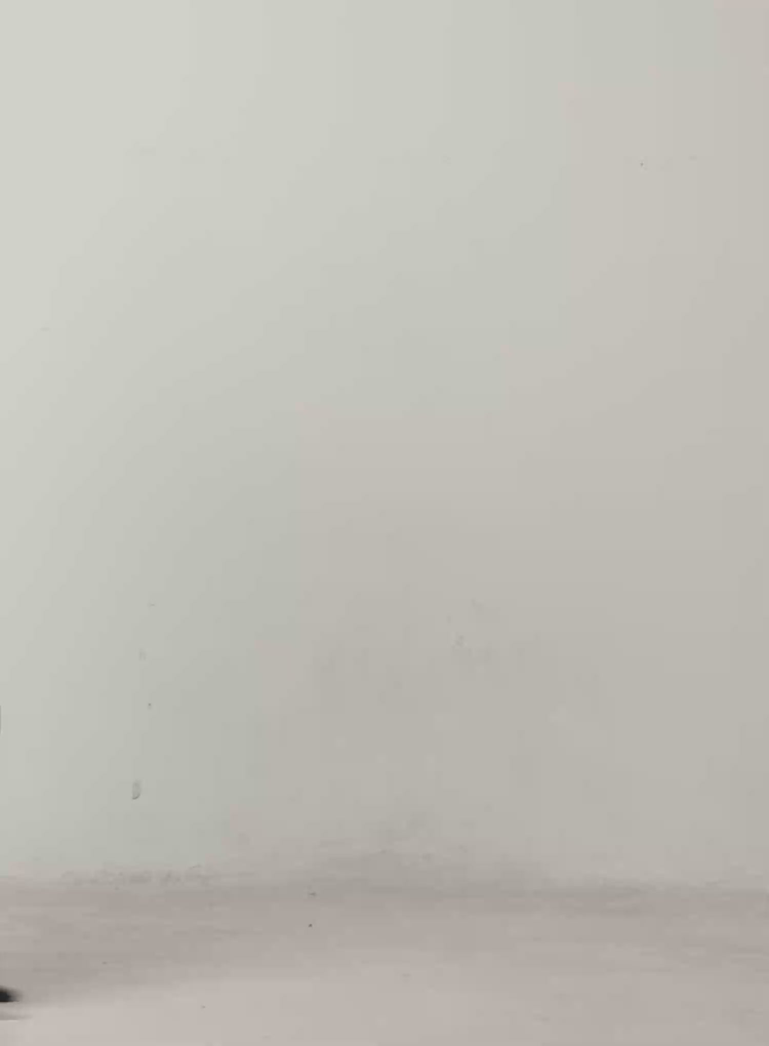 Asymmetric Buttoned Knit Top IJ529