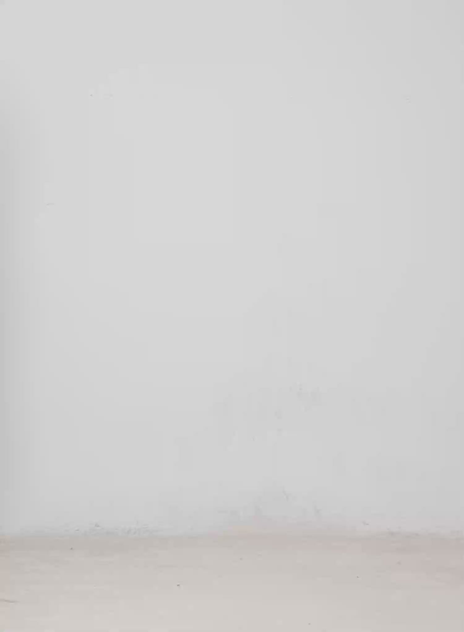 Kitty Graphic Semi-Crop Tee CM526