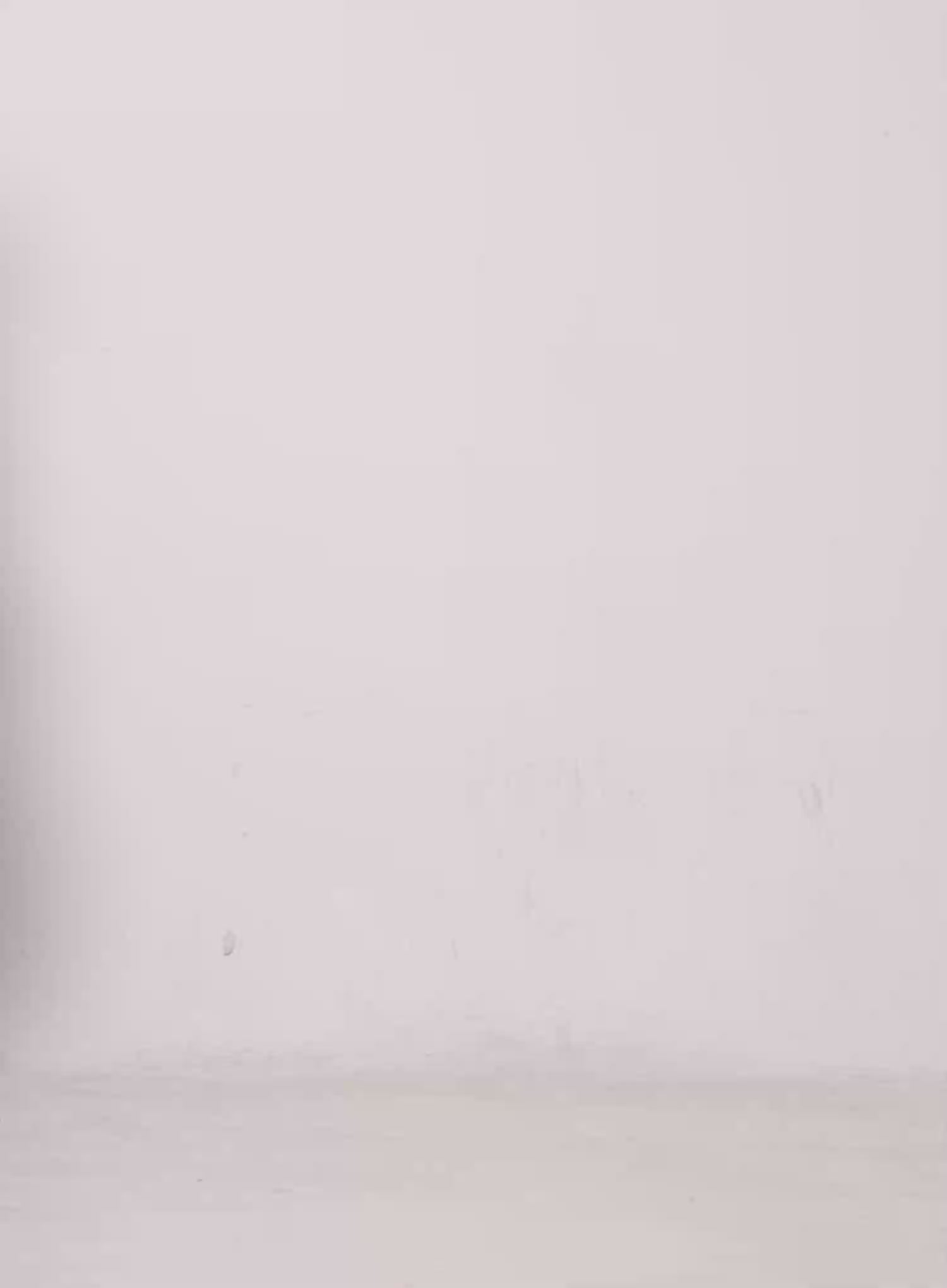 Off-Shoulder Graphic Long Sleeve Top CS530