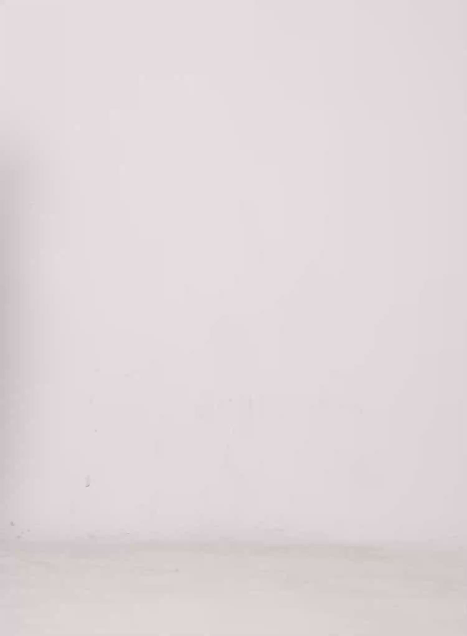 Love Lace-Trim Cami Top CL504