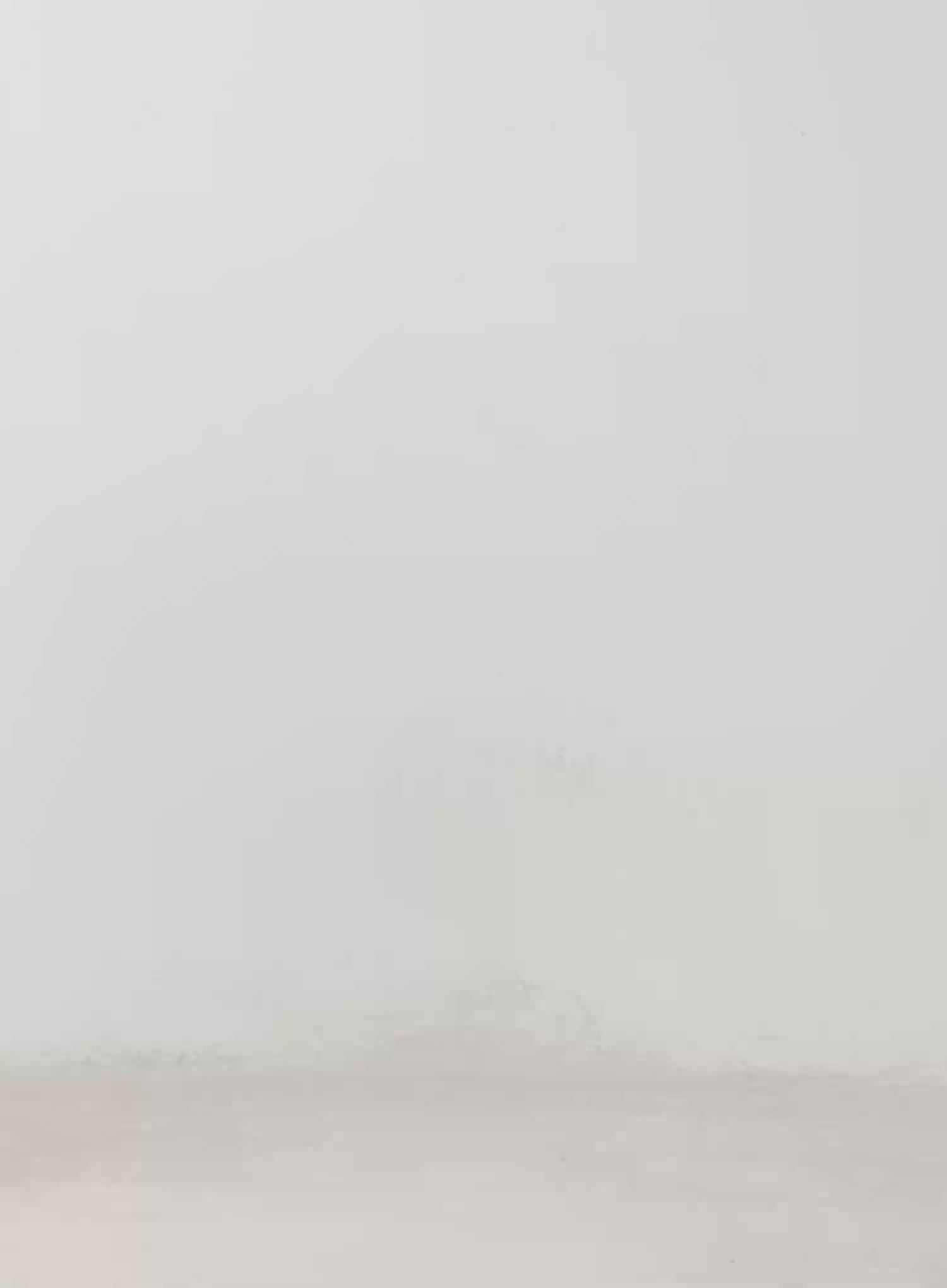 Layia Loose-Fit Flared Bootcut Jeans IM513