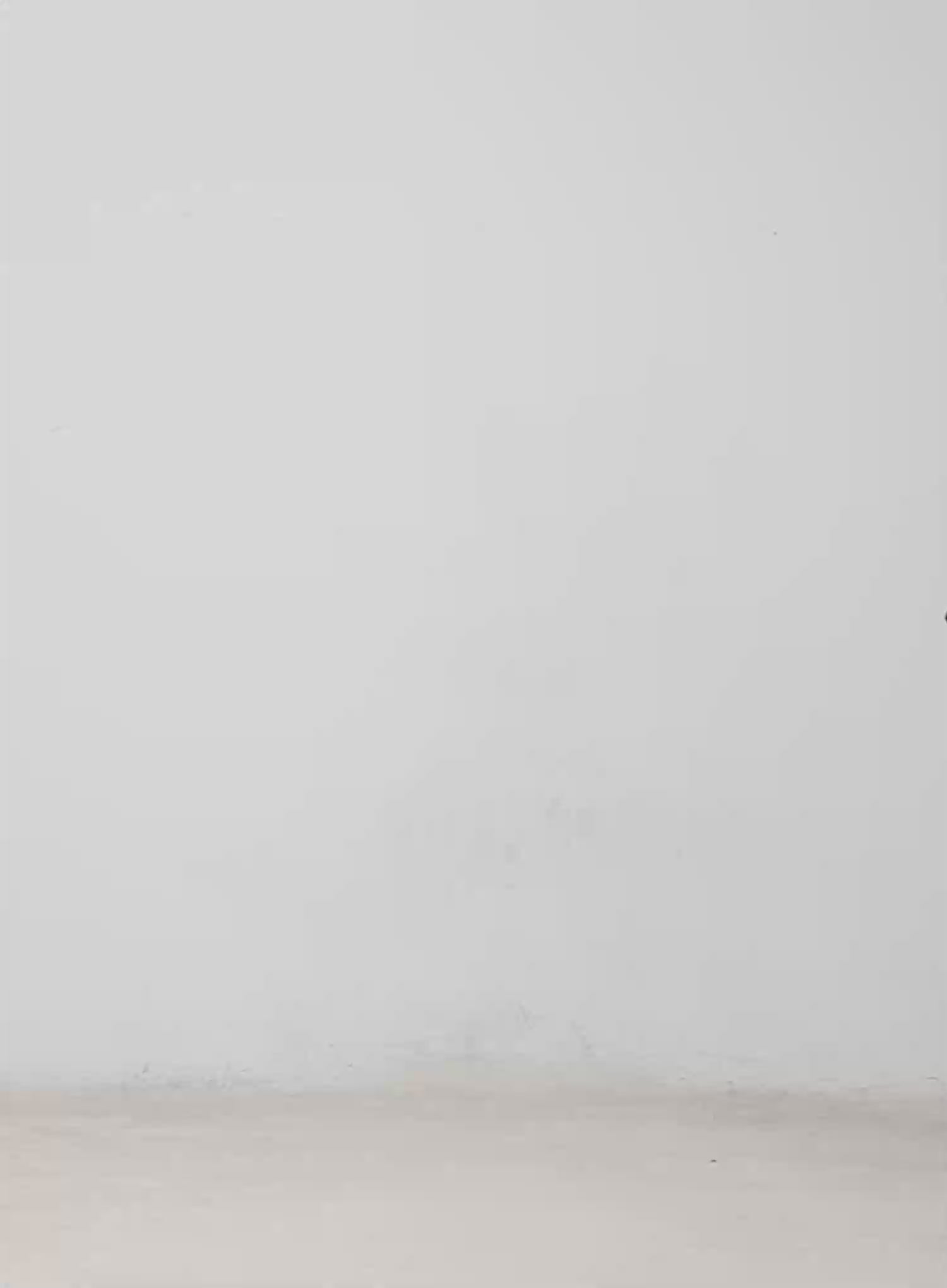 Unisex Oversized Zip-Up Windbreaker CM513