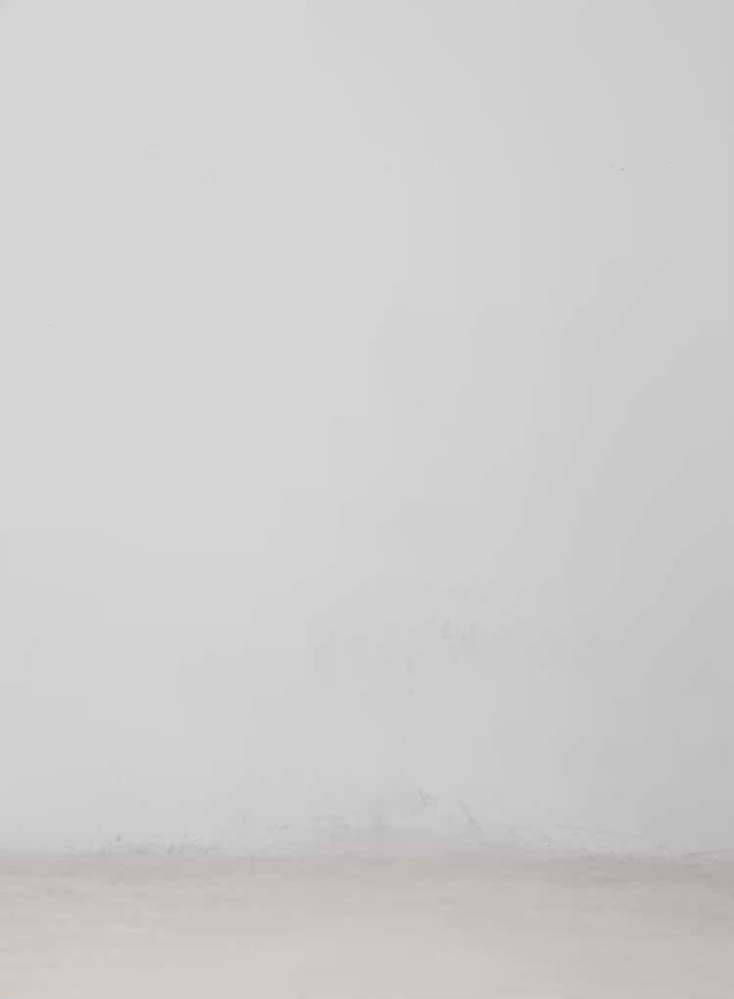 Eunj Wide-Leg Baggy Jeans CM512