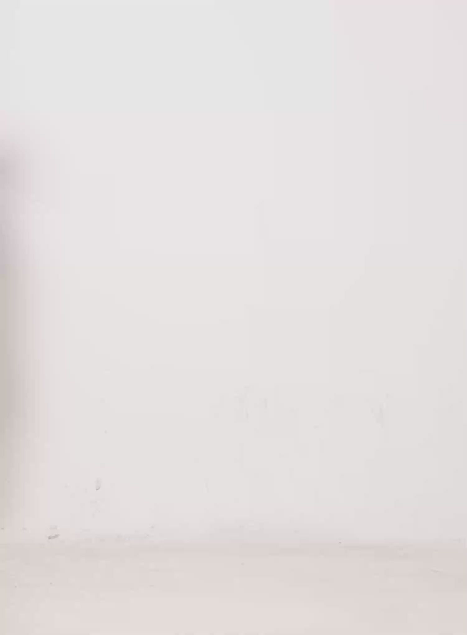 Soft Textured Scarf IN514