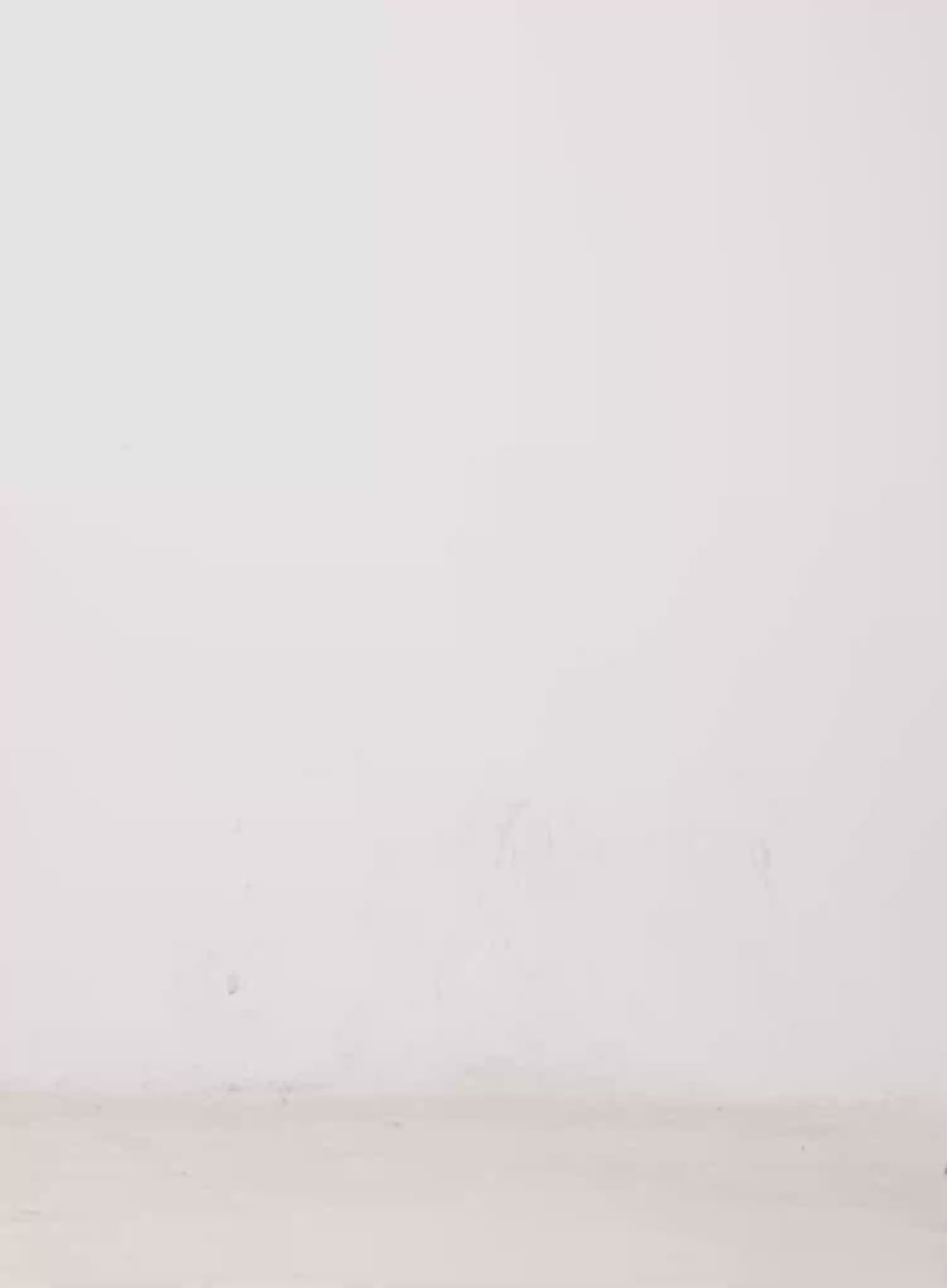 Vintage Cotton Cargo Shorts CO529