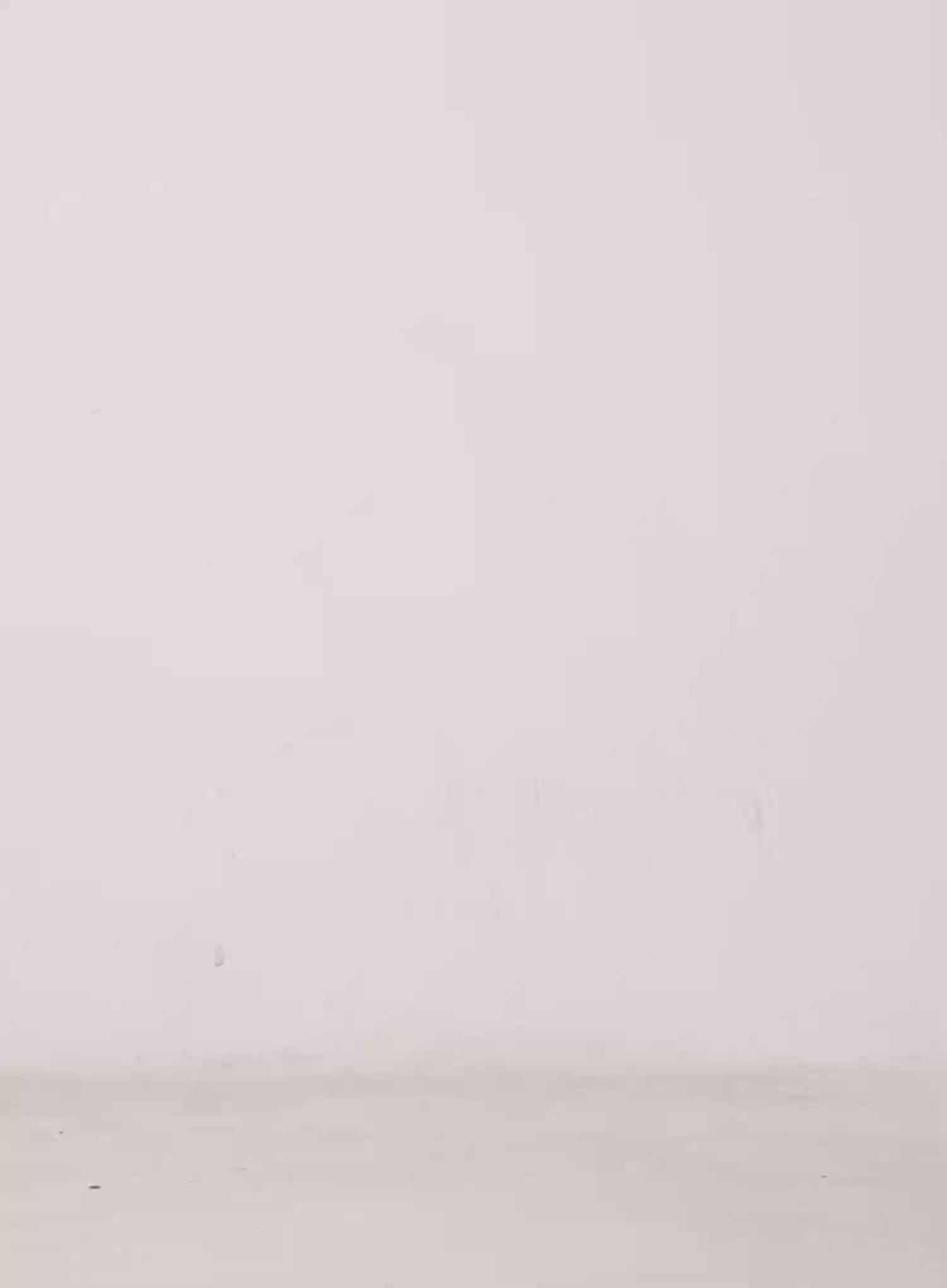 Dakota Relaxed Fit Vintage Wash Jeans CS511