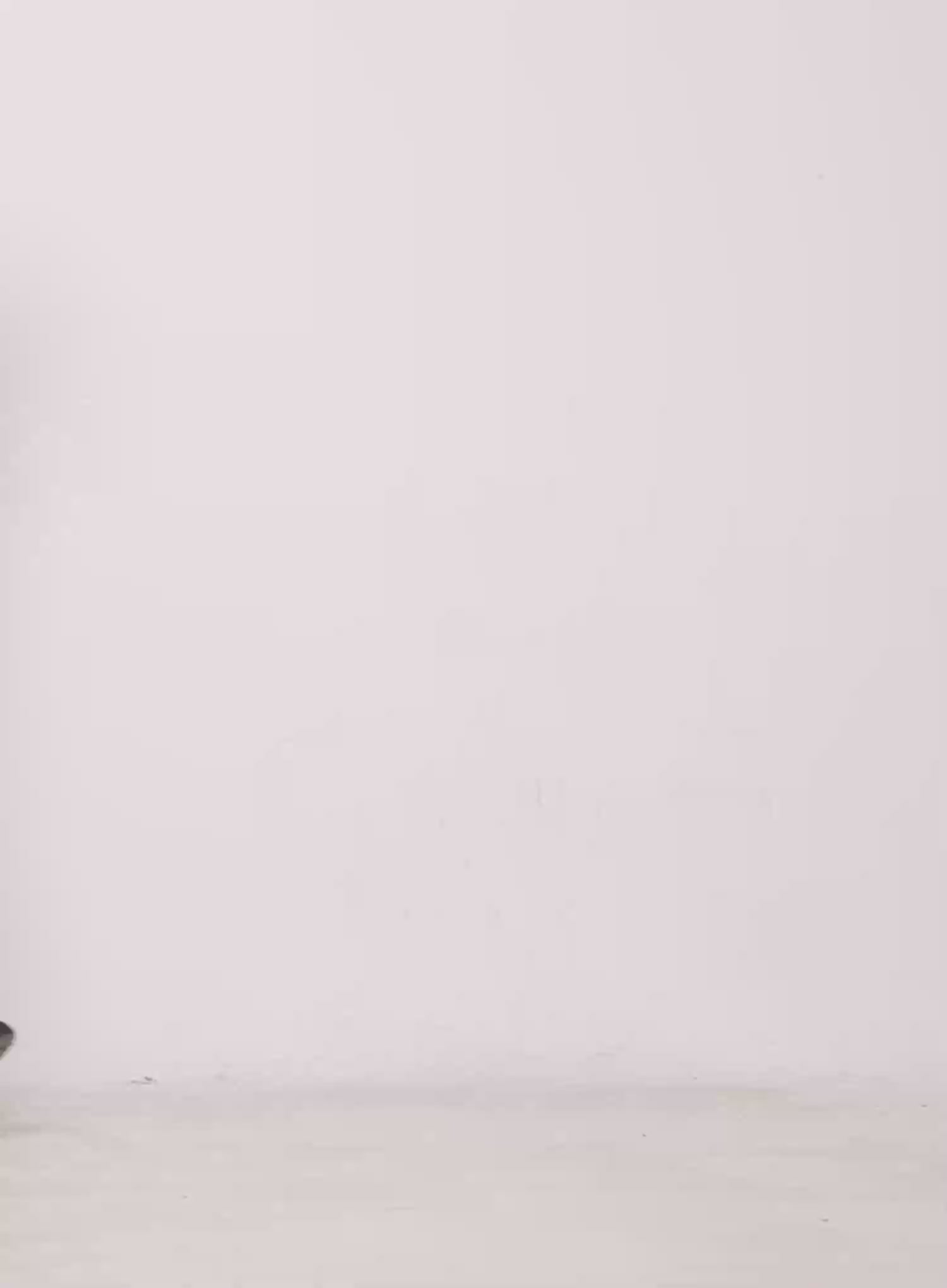 Sleeveless Lace Cropped Blouse CU506