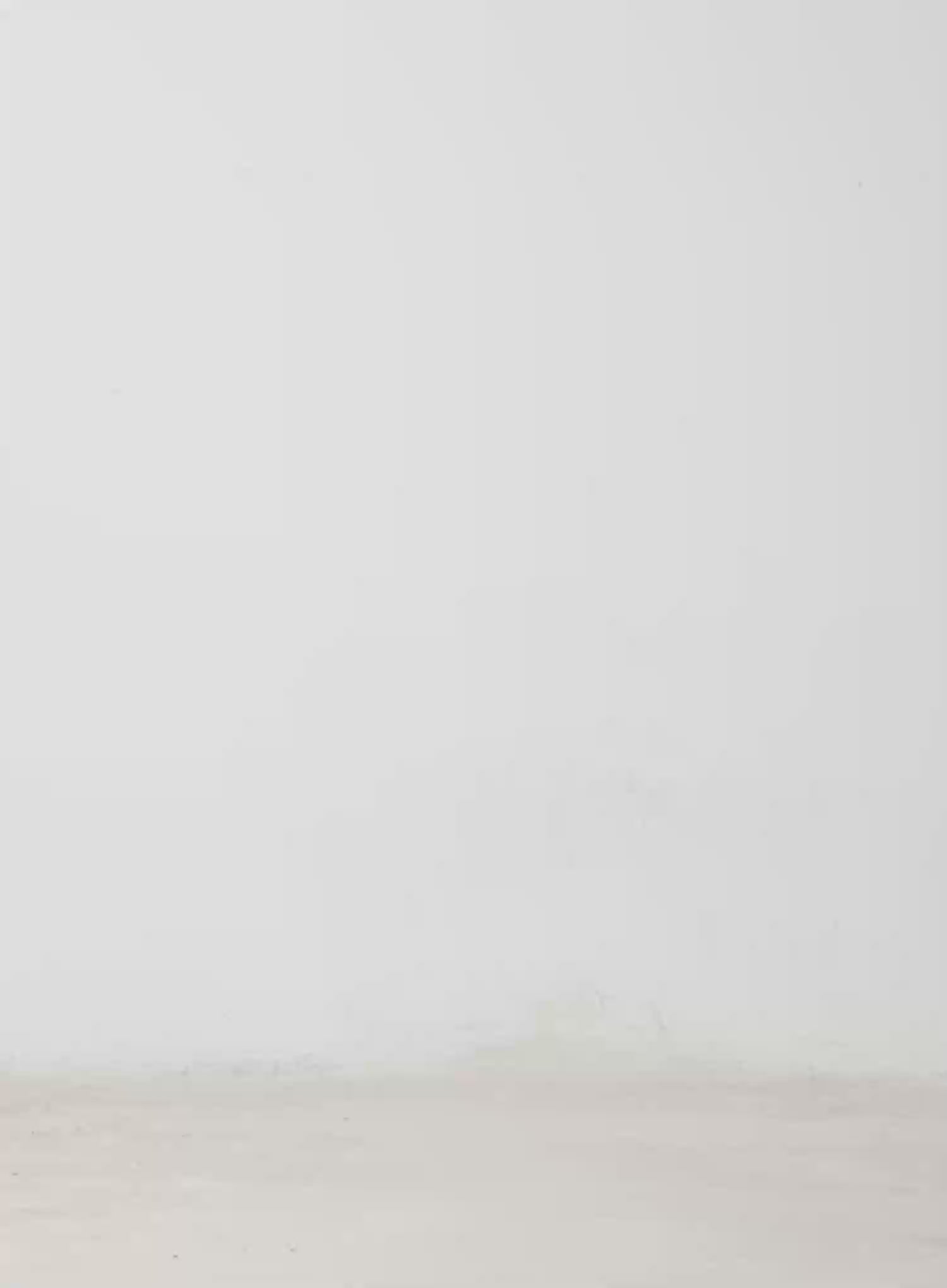 Suede Wrap Belt Skirt IM509