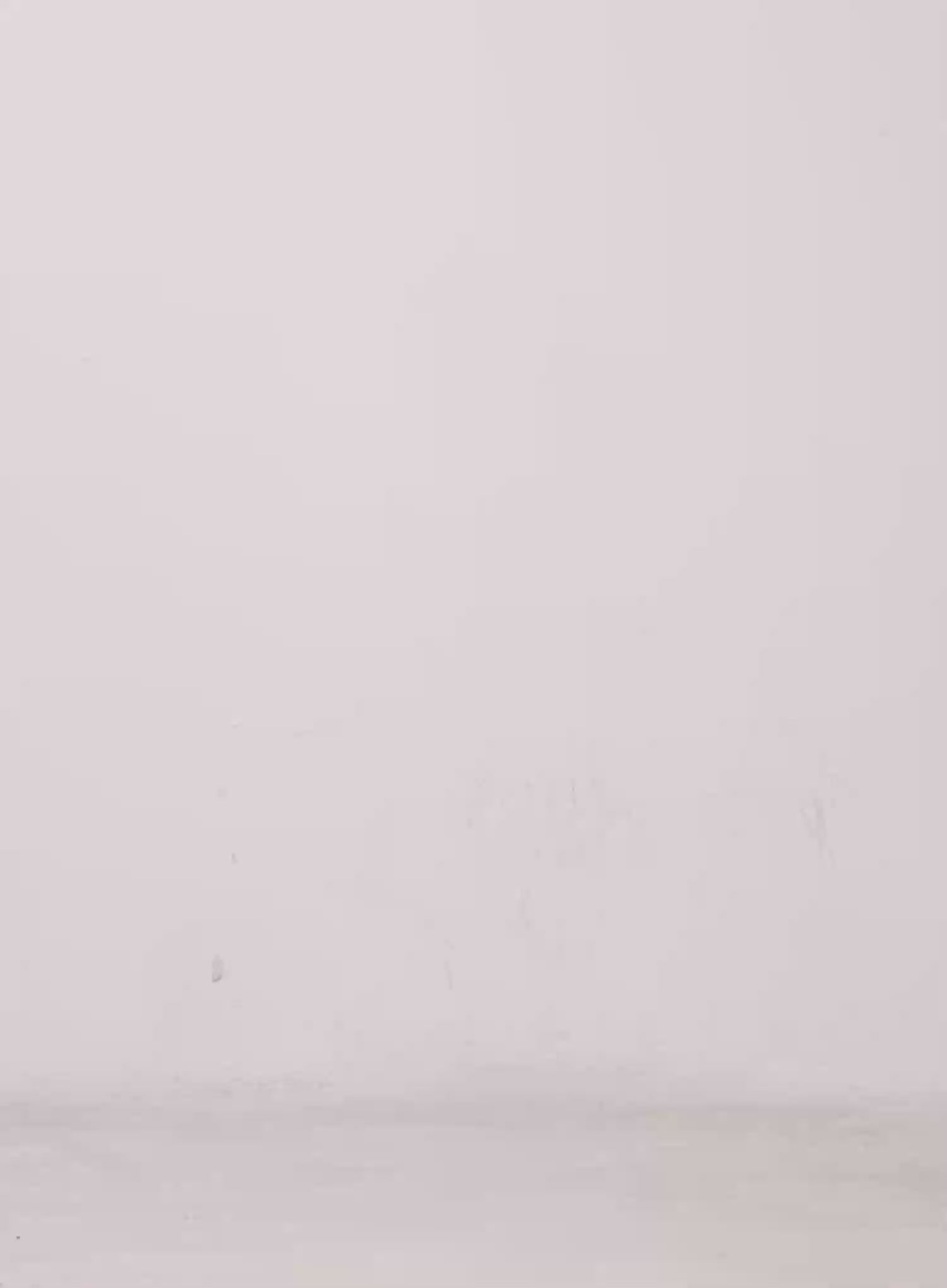 Ribbon Off-Shoulder Knit Top IS525