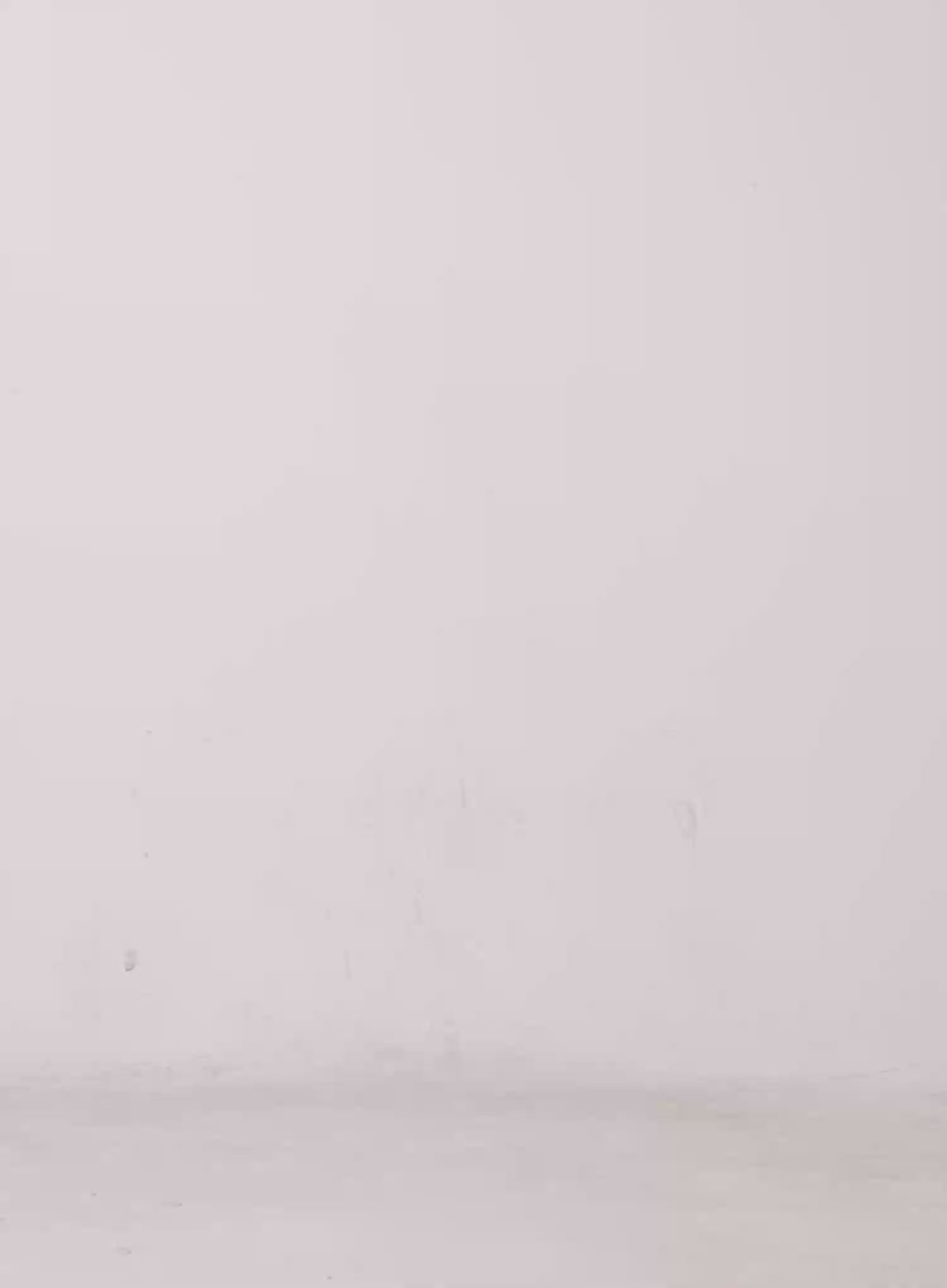 Chic Halter and Bolero Set CS526