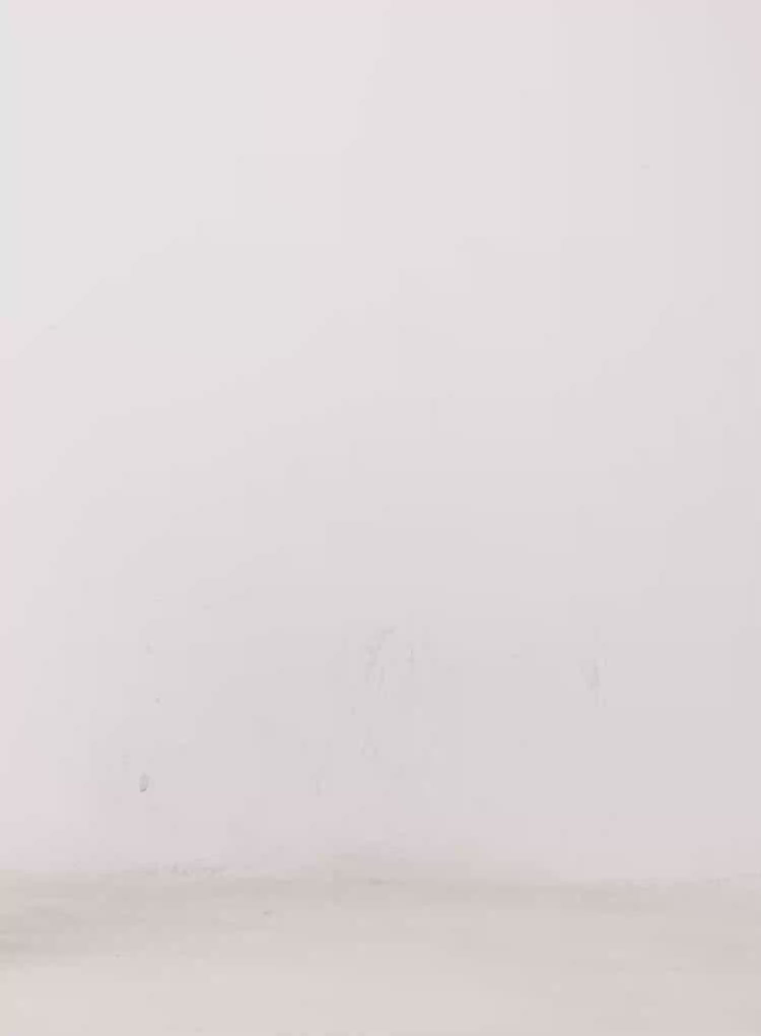 Elegant Line Scarf CO524