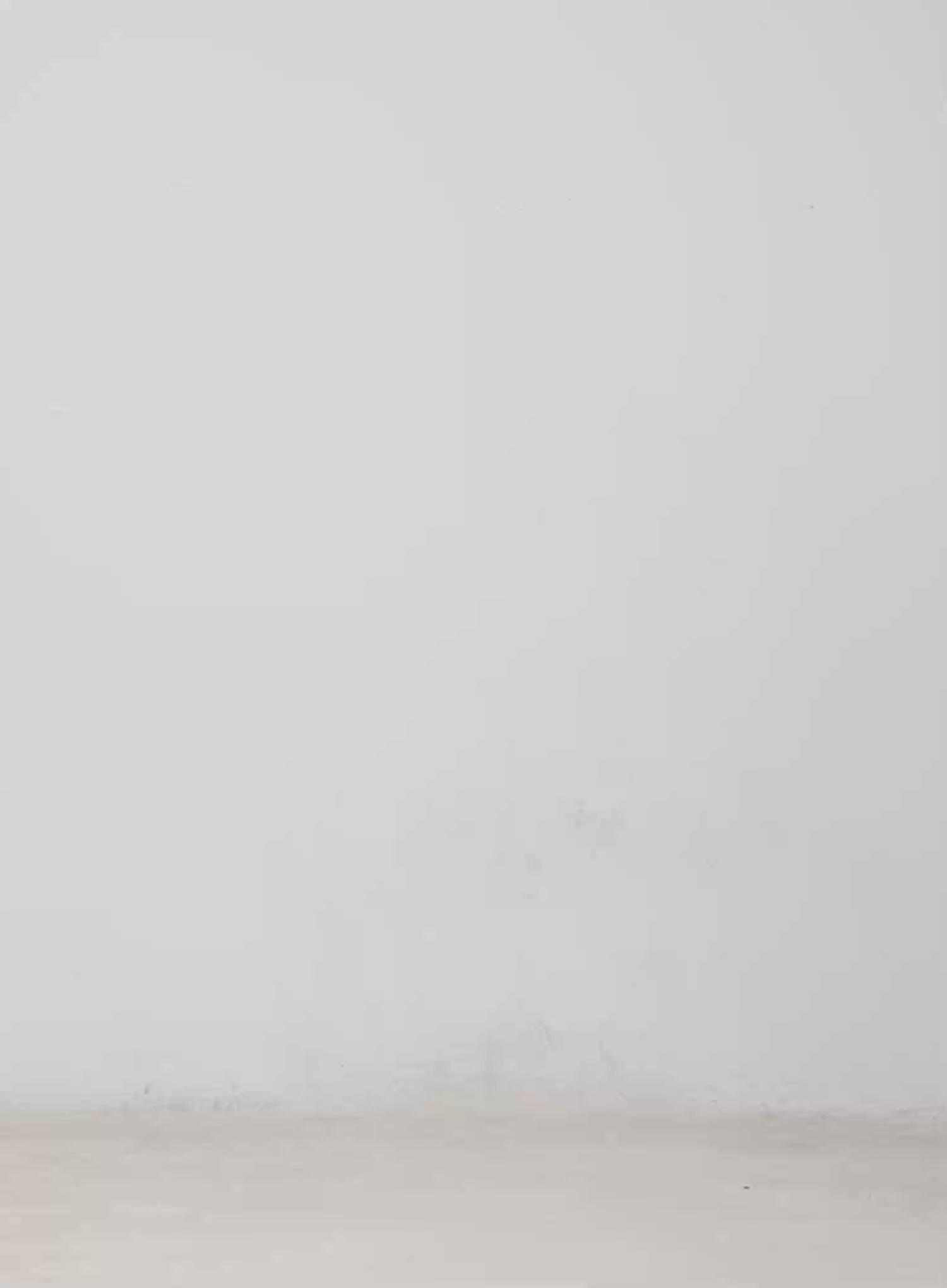 Two-Tone Collar Floral Long Sleeve Tee CM513