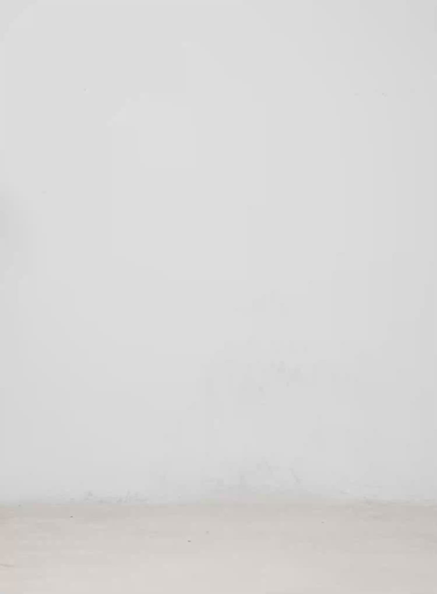 Urban Camo Baggy Pants CM526