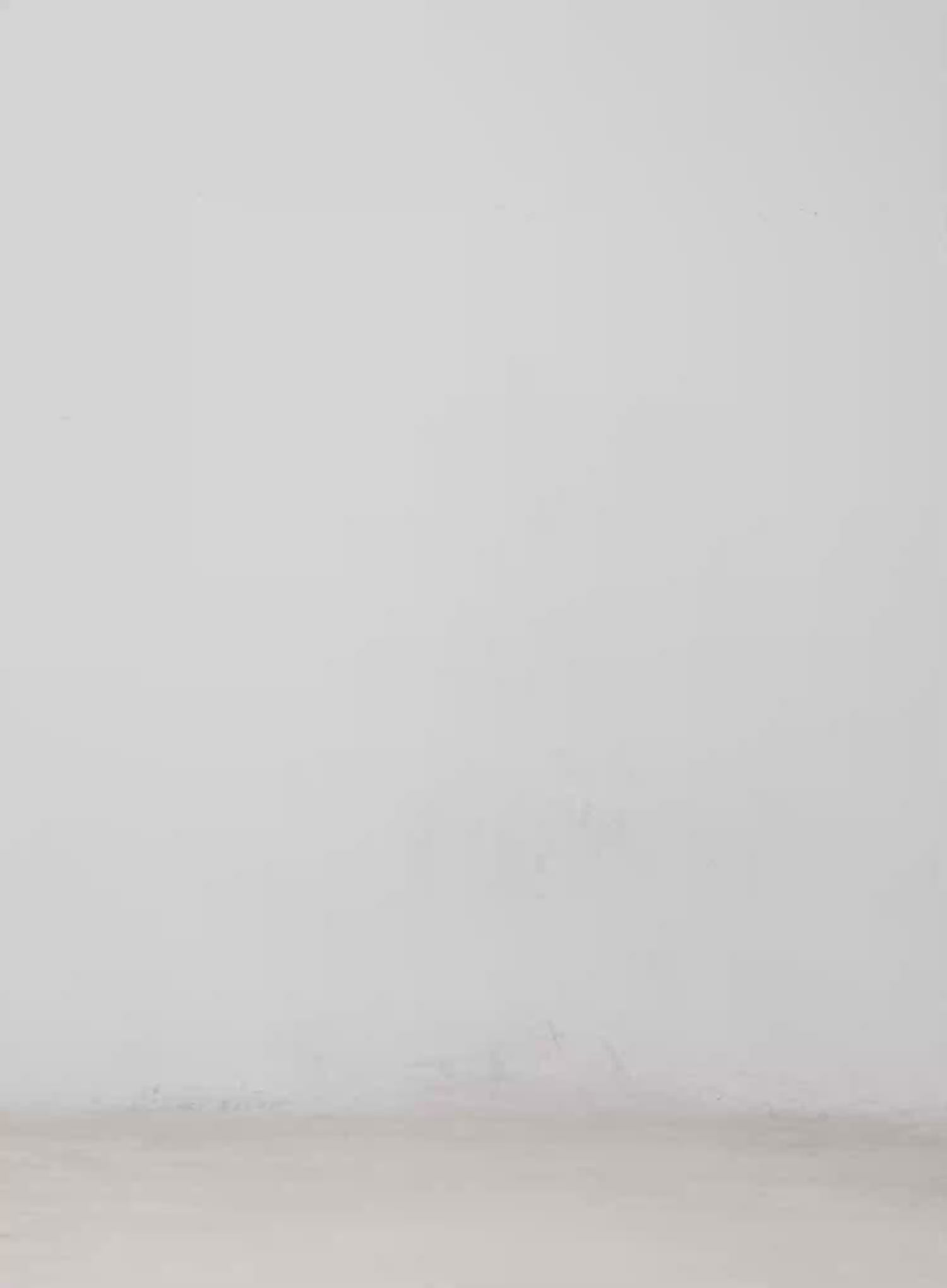 Relaxed-Fit Wide Leg Cotton Pants CM513