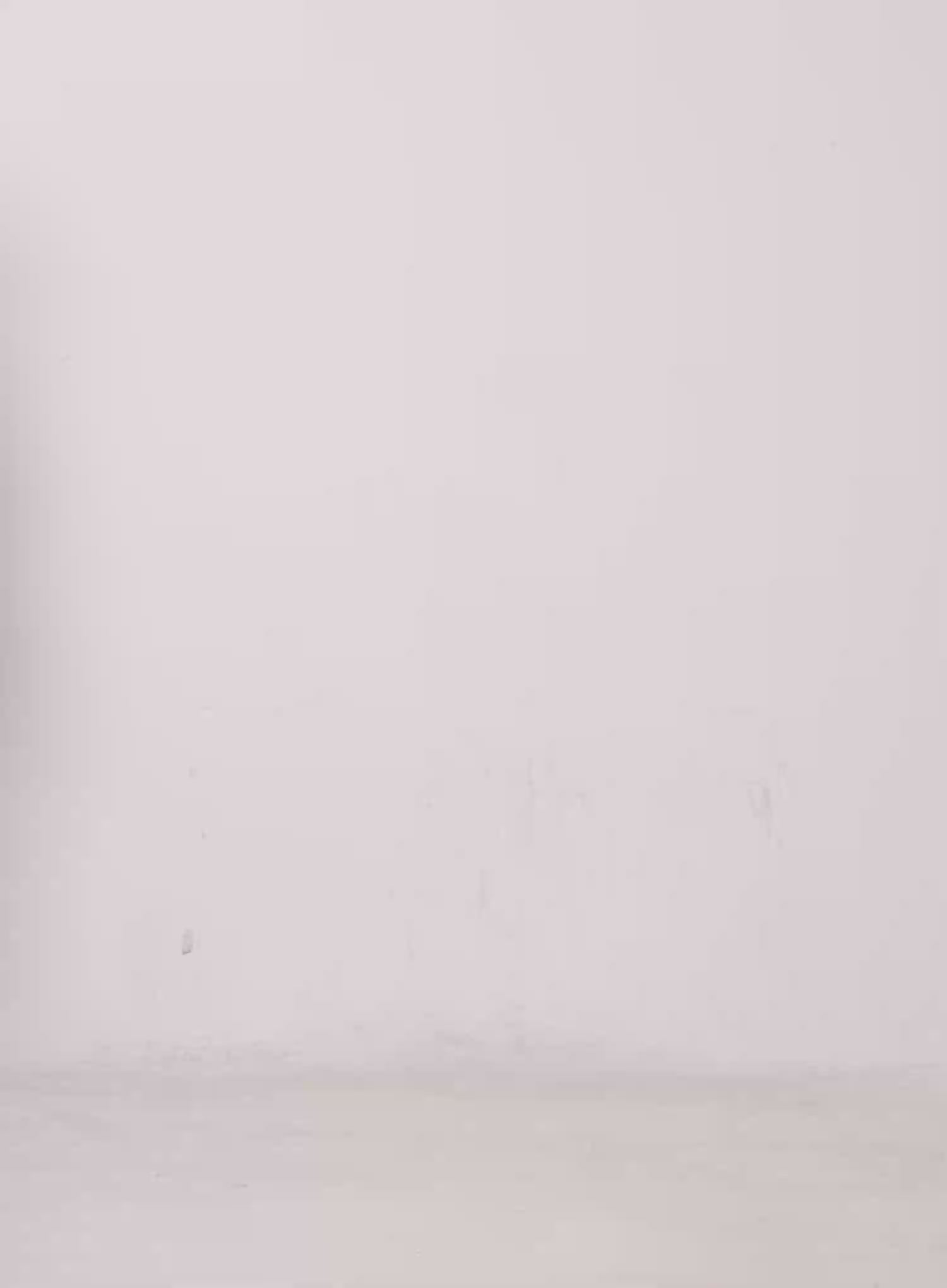 Cat Print Off-Shoulder Cropped Sweatshirt CO501