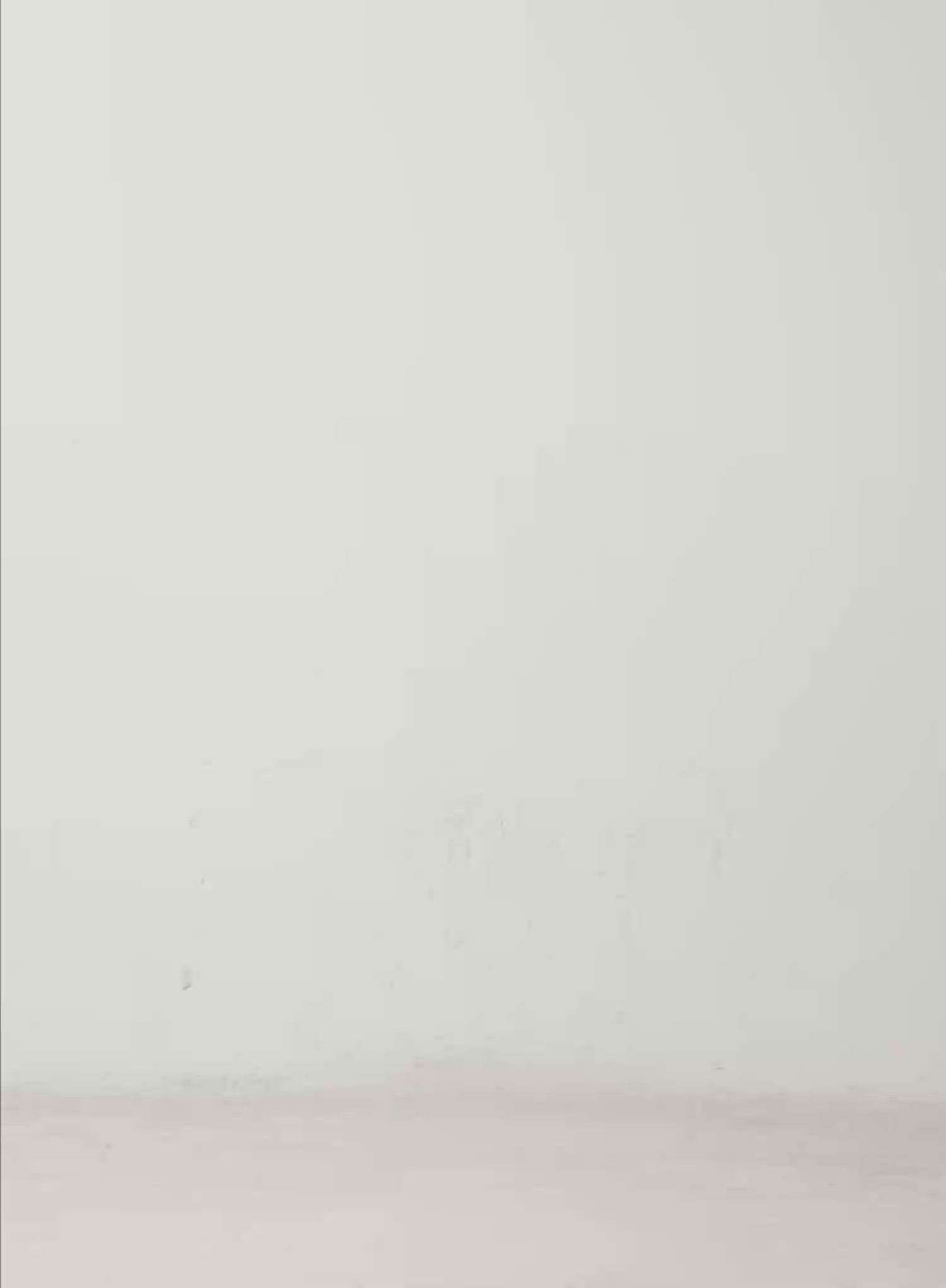 Modern Crop Puffer Jacket IN528