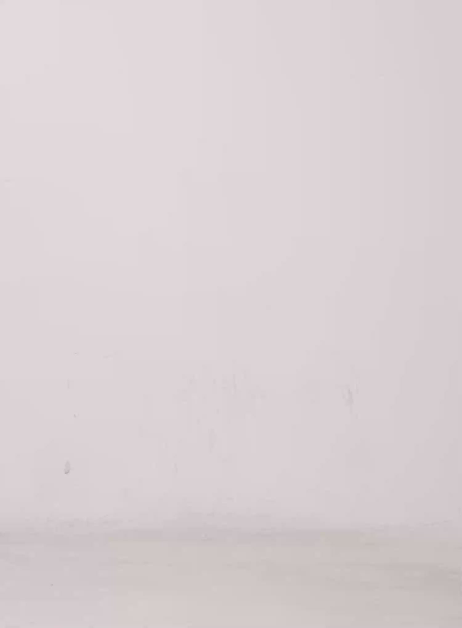 Milana Vintage Washed Baggy Jeans IS525