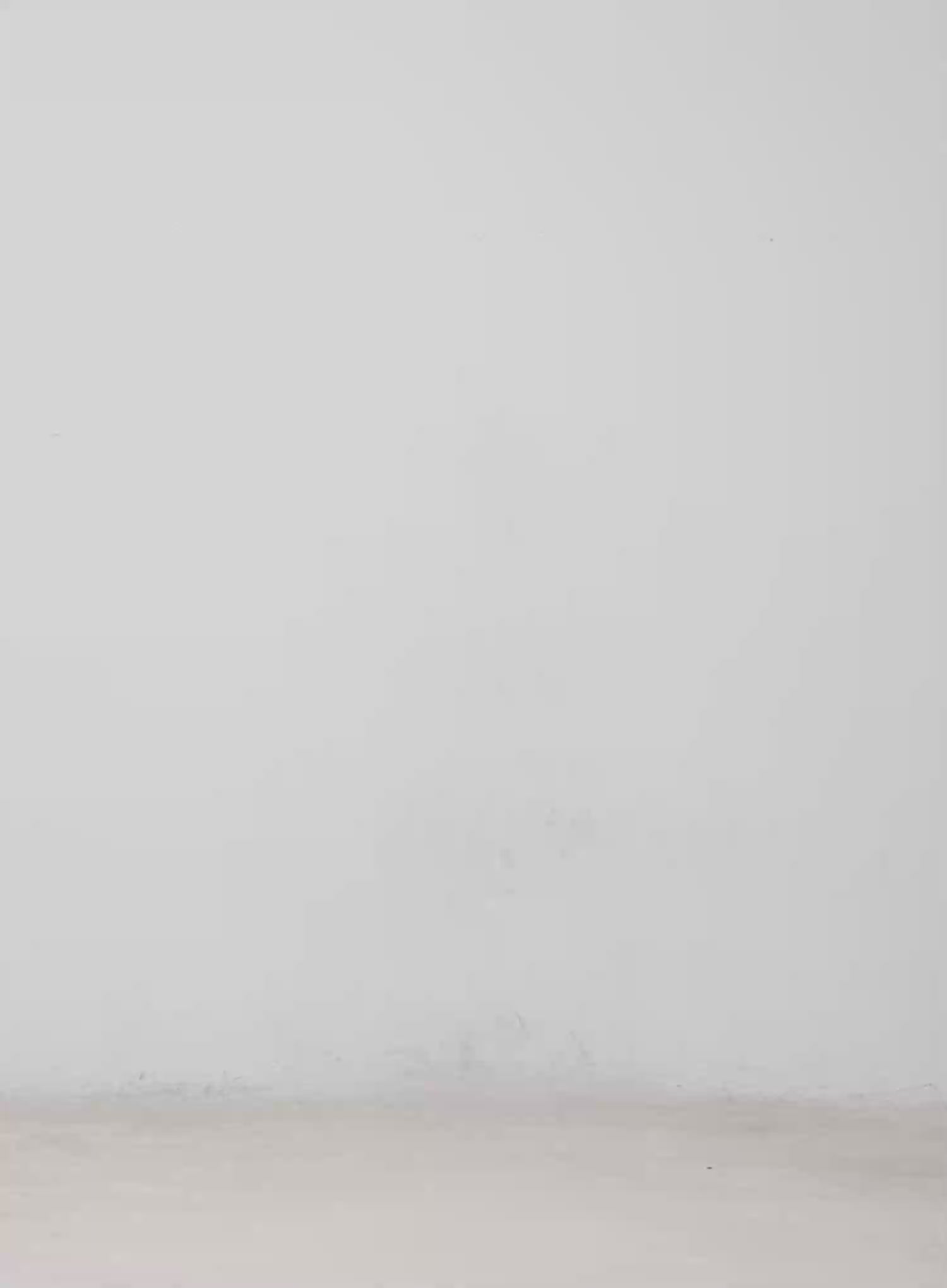 Waffle Knit Cropped Hoodie CM512