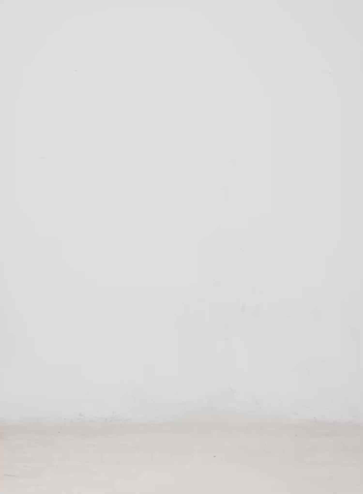 Oversized Floral Sweatpants CM526